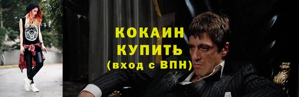 индика Нефтегорск