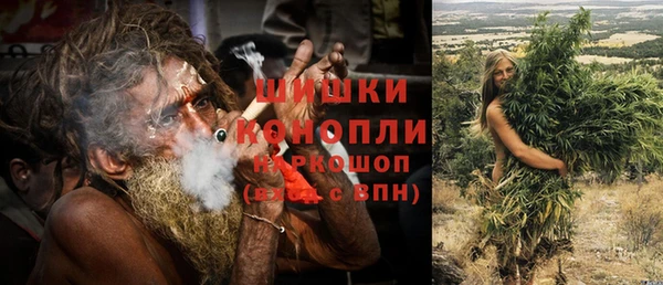 индика Нефтегорск