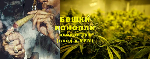 амф Новозыбков