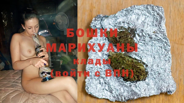 индика Нефтегорск